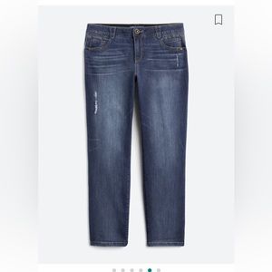 Democracy Luxe Touch Premium “Ab”solution Patriot Straight Leg